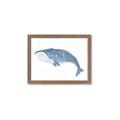 Picture of Blue Whale ll _GroupedProduct_Rectangle_Landscape_Mini_ _GroupedProduct_Rectangle_Landscape_Framed_Matted_
