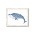 Picture of Blue Whale ll _GroupedProduct_Rectangle_Landscape_Mini_ _GroupedProduct_Rectangle_Landscape_Framed_Matted_