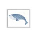 Picture of Blue Whale ll _GroupedProduct_Rectangle_Landscape_Mini_ _GroupedProduct_Rectangle_Landscape_Framed_Matted_