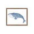 Picture of Blue Whale ll _GroupedProduct_Rectangle_Landscape_Mini_ _GroupedProduct_Rectangle_Landscape_Framed_Matted_