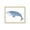 Picture of Blue Whale ll _GroupedProduct_Rectangle_Landscape_Mini_ _GroupedProduct_Rectangle_Landscape_Framed_Matted_