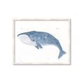 Picture of Blue Whale ll _GroupedProduct_Rectangle_Landscape_Mini_ _GroupedProduct_Rectangle_Landscape_Framed_Matted_