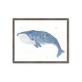 Picture of Blue Whale ll _GroupedProduct_Rectangle_Landscape_Mini_ _GroupedProduct_Rectangle_Landscape_Framed_Matted_