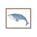 Picture of Blue Whale ll _GroupedProduct_Rectangle_Landscape_Mini_ _GroupedProduct_Rectangle_Landscape_Framed_Matted_