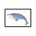 Picture of Blue Whale ll _GroupedProduct_Rectangle_Landscape_Mini_ _GroupedProduct_Rectangle_Landscape_Framed_Matted_