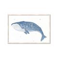 Picture of Blue Whale ll _GroupedProduct_Rectangle_Landscape_Mini_ _GroupedProduct_Rectangle_Landscape_Framed_Matted_