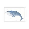 Picture of Blue Whale ll _GroupedProduct_Rectangle_Landscape_Mini_ _GroupedProduct_Rectangle_Landscape_Framed_Matted_
