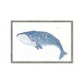 Picture of Blue Whale ll _GroupedProduct_Rectangle_Landscape_Mini_ _GroupedProduct_Rectangle_Landscape_Framed_Matted_