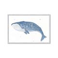 Picture of Blue Whale ll _GroupedProduct_Rectangle_Landscape_Mini_ _GroupedProduct_Rectangle_Landscape_Framed_Matted_