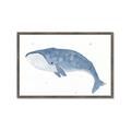 Picture of Blue Whale ll _GroupedProduct_Rectangle_Landscape_Mini_ _GroupedProduct_Rectangle_Landscape_Framed_Matted_