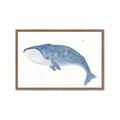Picture of Blue Whale ll _GroupedProduct_Rectangle_Landscape_Mini_ _GroupedProduct_Rectangle_Landscape_Framed_Matted_