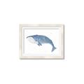 Picture of Blue Whale ll _GroupedProduct_Rectangle_Landscape_Mini_ _GroupedProduct_Rectangle_Landscape_Framed_Matted_