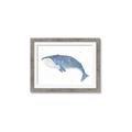 Picture of Blue Whale ll _GroupedProduct_Rectangle_Landscape_Mini_ _GroupedProduct_Rectangle_Landscape_Framed_Matted_