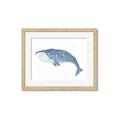 Picture of Blue Whale ll _GroupedProduct_Rectangle_Landscape_Mini_ _GroupedProduct_Rectangle_Landscape_Framed_Matted_