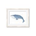 Picture of Blue Whale ll _GroupedProduct_Rectangle_Landscape_Mini_ _GroupedProduct_Rectangle_Landscape_Framed_Matted_