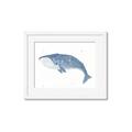 Picture of Blue Whale ll _GroupedProduct_Rectangle_Landscape_Mini_ _GroupedProduct_Rectangle_Landscape_Framed_Matted_