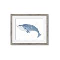Picture of Blue Whale ll _GroupedProduct_Rectangle_Landscape_Mini_ _GroupedProduct_Rectangle_Landscape_Framed_Matted_