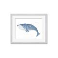 Picture of Blue Whale ll _GroupedProduct_Rectangle_Landscape_Mini_ _GroupedProduct_Rectangle_Landscape_Framed_Matted_