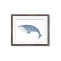 Picture of Blue Whale ll _GroupedProduct_Rectangle_Landscape_Mini_ _GroupedProduct_Rectangle_Landscape_Framed_Matted_