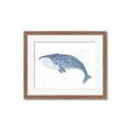 Picture of Blue Whale ll _GroupedProduct_Rectangle_Landscape_Mini_ _GroupedProduct_Rectangle_Landscape_Framed_Matted_