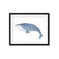 Picture of Blue Whale ll _GroupedProduct_Rectangle_Landscape_Mini_ _GroupedProduct_Rectangle_Landscape_Framed_Matted_