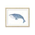 Picture of Blue Whale ll _GroupedProduct_Rectangle_Landscape_Mini_ _GroupedProduct_Rectangle_Landscape_Framed_Matted_