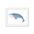 Picture of Blue Whale ll _GroupedProduct_Rectangle_Landscape_Mini_ _GroupedProduct_Rectangle_Landscape_Framed_Matted_