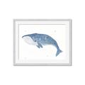 Picture of Blue Whale ll _GroupedProduct_Rectangle_Landscape_Mini_ _GroupedProduct_Rectangle_Landscape_Framed_Matted_