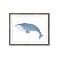 Picture of Blue Whale ll _GroupedProduct_Rectangle_Landscape_Mini_ _GroupedProduct_Rectangle_Landscape_Framed_Matted_