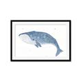 Picture of Blue Whale ll _GroupedProduct_Rectangle_Landscape_Mini_ _GroupedProduct_Rectangle_Landscape_Framed_Matted_