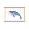 Picture of Blue Whale ll _GroupedProduct_Rectangle_Landscape_Mini_ _GroupedProduct_Rectangle_Landscape_Framed_Matted_