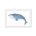 Picture of Blue Whale ll _GroupedProduct_Rectangle_Landscape_Mini_ _GroupedProduct_Rectangle_Landscape_Framed_Matted_