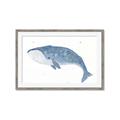 Picture of Blue Whale ll _GroupedProduct_Rectangle_Landscape_Mini_ _GroupedProduct_Rectangle_Landscape_Framed_Matted_