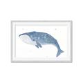 Picture of Blue Whale ll _GroupedProduct_Rectangle_Landscape_Mini_ _GroupedProduct_Rectangle_Landscape_Framed_Matted_