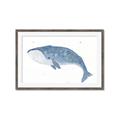 Picture of Blue Whale ll _GroupedProduct_Rectangle_Landscape_Mini_ _GroupedProduct_Rectangle_Landscape_Framed_Matted_