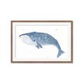 Picture of Blue Whale ll _GroupedProduct_Rectangle_Landscape_Mini_ _GroupedProduct_Rectangle_Landscape_Framed_Matted_