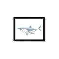 Picture of Great White Shark _GroupedProduct_Rectangle_Landscape_Mini_ _GroupedProduct_Rectangle_Landscape_Framed_Matted_