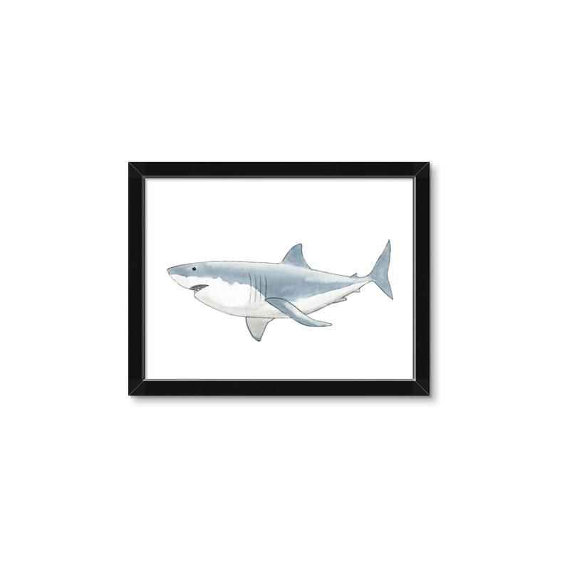 Picture of Great White Shark _GroupedProduct_Rectangle_Landscape_Mini_ _GroupedProduct_Rectangle_Landscape_Framed_Matted_