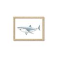 Picture of Great White Shark _GroupedProduct_Rectangle_Landscape_Mini_ _GroupedProduct_Rectangle_Landscape_Framed_Matted_