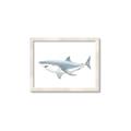 Picture of Great White Shark _GroupedProduct_Rectangle_Landscape_Mini_ _GroupedProduct_Rectangle_Landscape_Framed_Matted_
