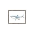 Picture of Great White Shark _GroupedProduct_Rectangle_Landscape_Mini_ _GroupedProduct_Rectangle_Landscape_Framed_Matted_