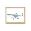 Picture of Great White Shark _GroupedProduct_Rectangle_Landscape_Mini_ _GroupedProduct_Rectangle_Landscape_Framed_Matted_