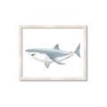 Picture of Great White Shark _GroupedProduct_Rectangle_Landscape_Mini_ _GroupedProduct_Rectangle_Landscape_Framed_Matted_