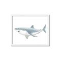 Picture of Great White Shark _GroupedProduct_Rectangle_Landscape_Mini_ _GroupedProduct_Rectangle_Landscape_Framed_Matted_