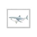 Picture of Great White Shark _GroupedProduct_Rectangle_Landscape_Mini_ _GroupedProduct_Rectangle_Landscape_Framed_Matted_