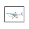 Picture of Great White Shark _GroupedProduct_Rectangle_Landscape_Mini_ _GroupedProduct_Rectangle_Landscape_Framed_Matted_