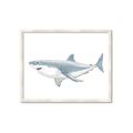 Picture of Great White Shark _GroupedProduct_Rectangle_Landscape_Mini_ _GroupedProduct_Rectangle_Landscape_Framed_Matted_