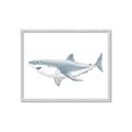 Picture of Great White Shark _GroupedProduct_Rectangle_Landscape_Mini_ _GroupedProduct_Rectangle_Landscape_Framed_Matted_