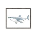 Picture of Great White Shark _GroupedProduct_Rectangle_Landscape_Mini_ _GroupedProduct_Rectangle_Landscape_Framed_Matted_