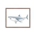Picture of Great White Shark _GroupedProduct_Rectangle_Landscape_Mini_ _GroupedProduct_Rectangle_Landscape_Framed_Matted_